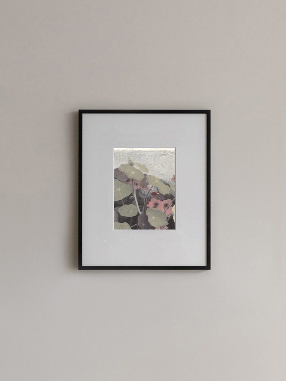 Capuchinas II Capuchinas II