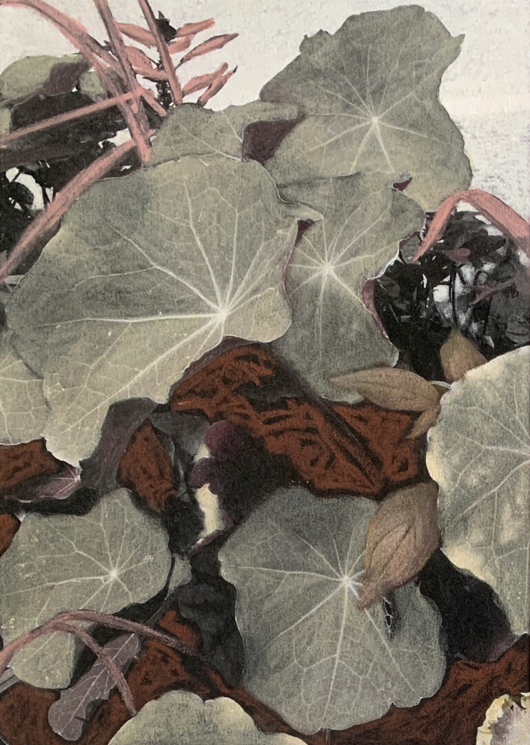 Capuchinas I Obra Capuchinas I Obra