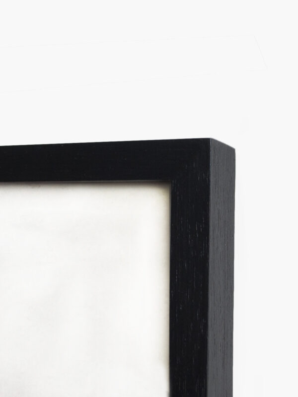 Varilla marupá negra