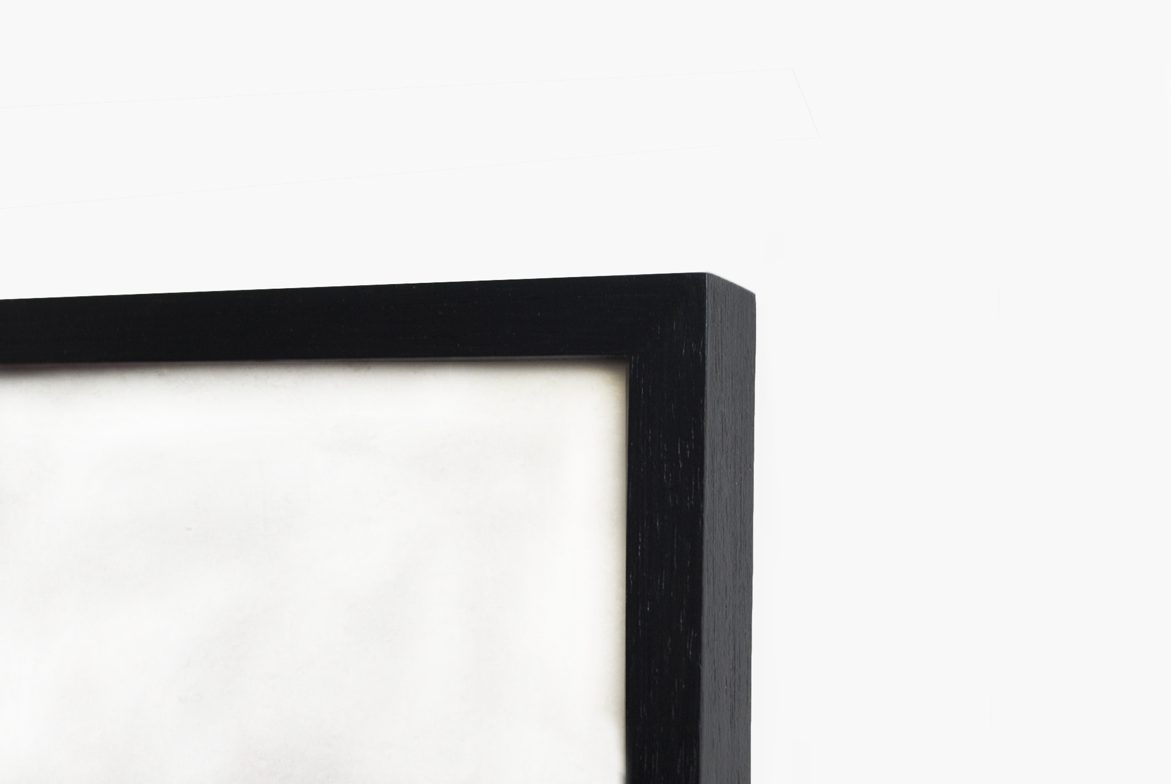 Varilla marupá negra Varilla marupá negra