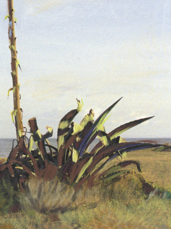 Agave_Detalle_I