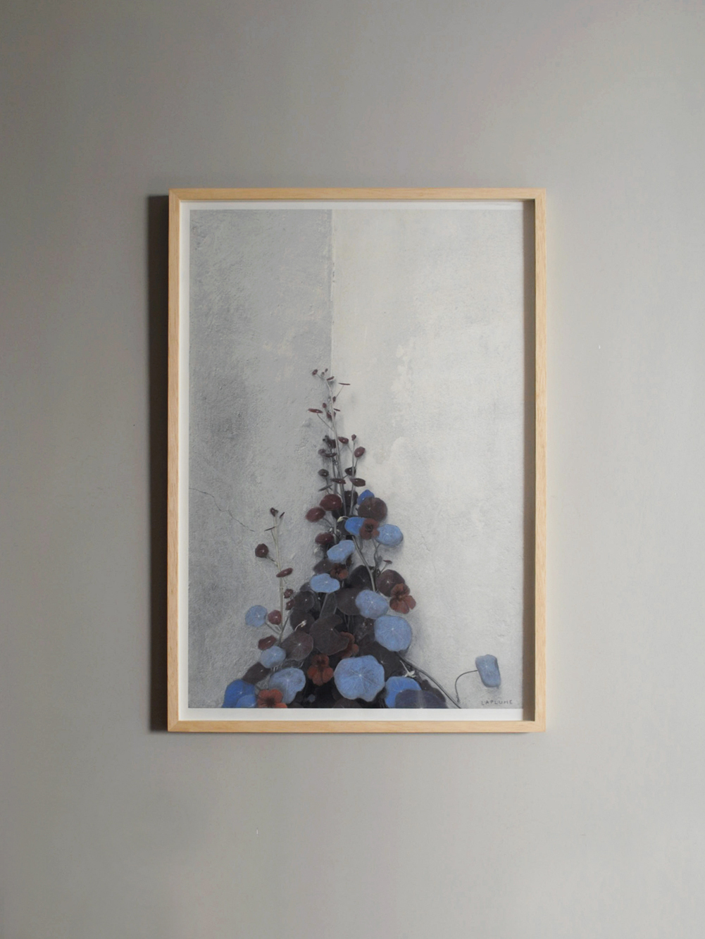 Jardín Enredadera Jardín Enredadera