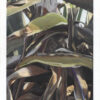 Agave 1