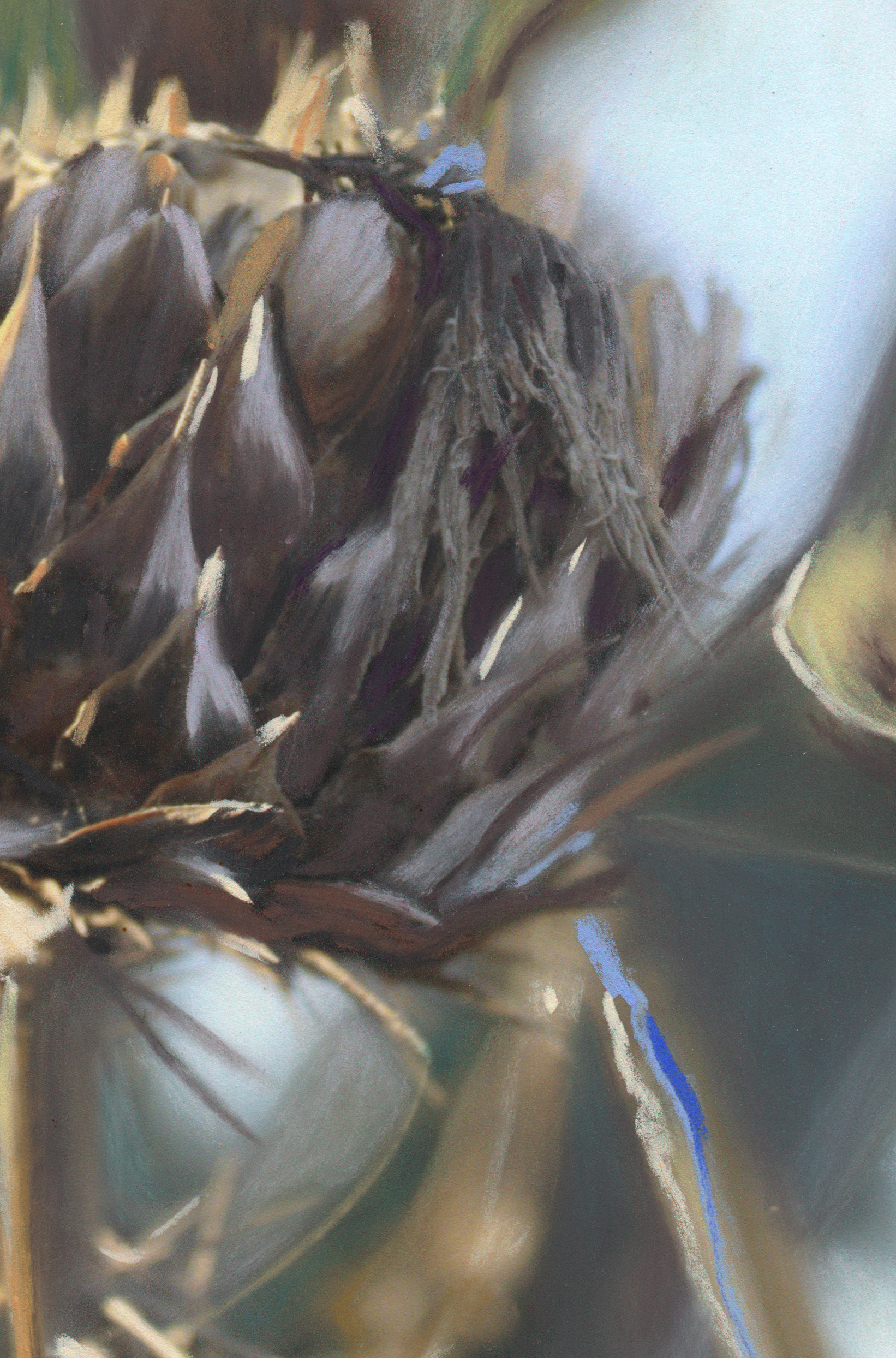 Cardo Detalle Cardo Detalle