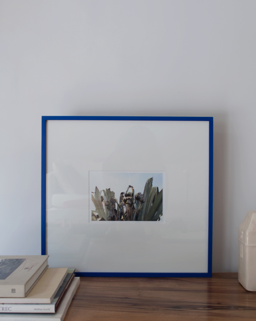 Cardo y Agave Varilla Azul Cardo y Agave Varilla Azul