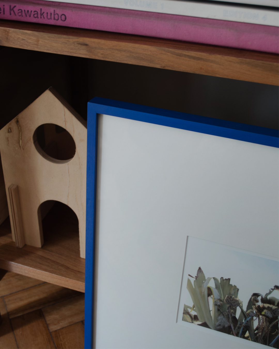 Cardo y Agave Cardo y Agave