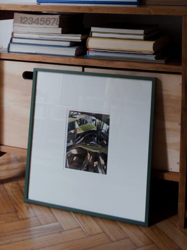 Agave 1 Varilla Olivo