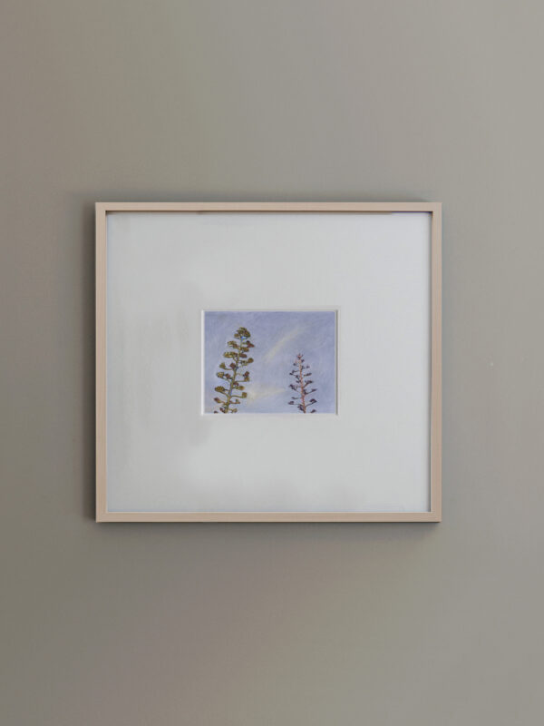 Agaves Natural Cuadrado