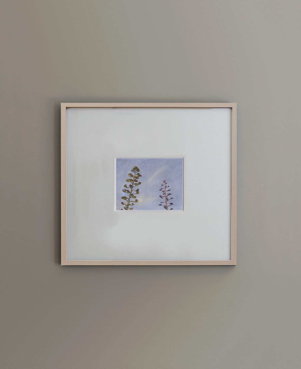 Agaves Natural Cuadrado Agaves Natural Cuadrado